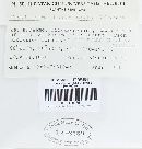 Trichaptum fuscoviolaceum image