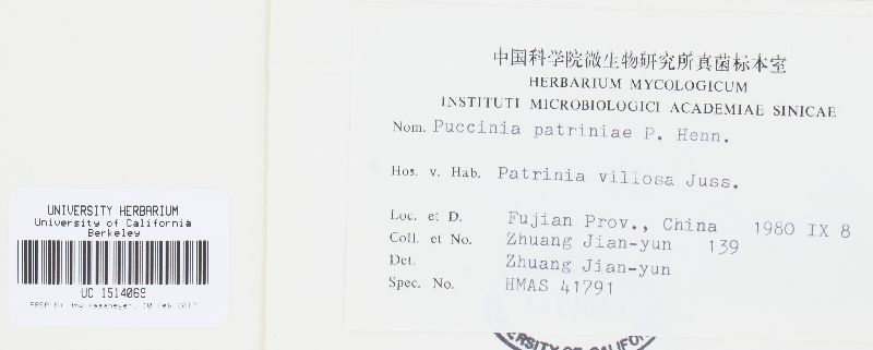 Puccinia patriniae image