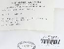 Phellinidium lamaoense image