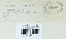 Melampsora lini image