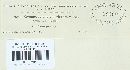 Gymnosporangium globosum image