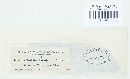 Cercospora brachypus image