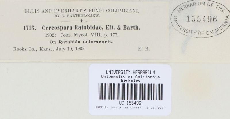 Cercospora ratibidae image