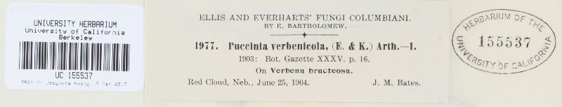 Puccinia vilfae image