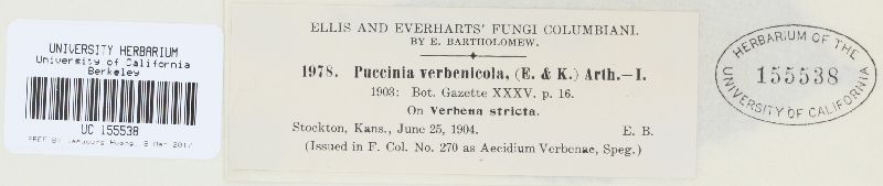 Puccinia vilfae image