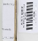 Pholiota spumosa image