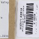 Rickenella fibula image