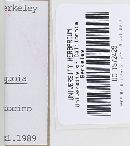 Micromphale sequoiae image