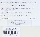 Guignardia bidwellii image