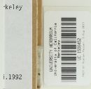 Caloscypha fulgens image
