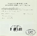 Uromyces appendiculatus image