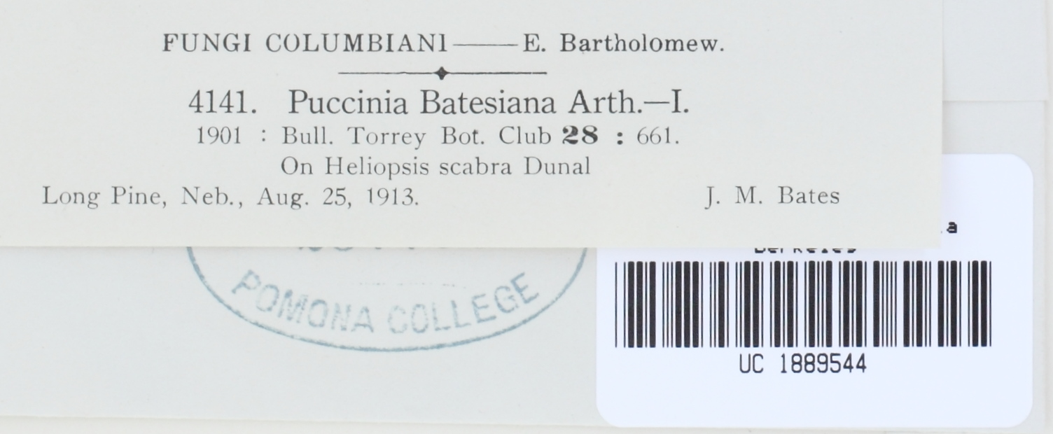 Puccinia batesiana image