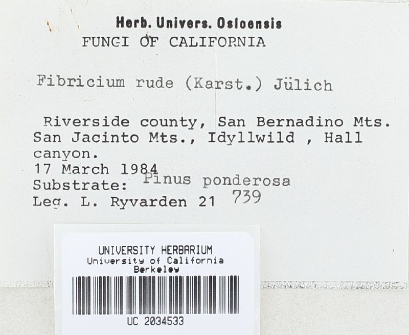 Fibricium image