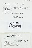 Schizopora paradoxa image