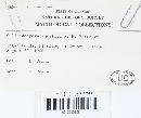 Culicidospora aquatica image
