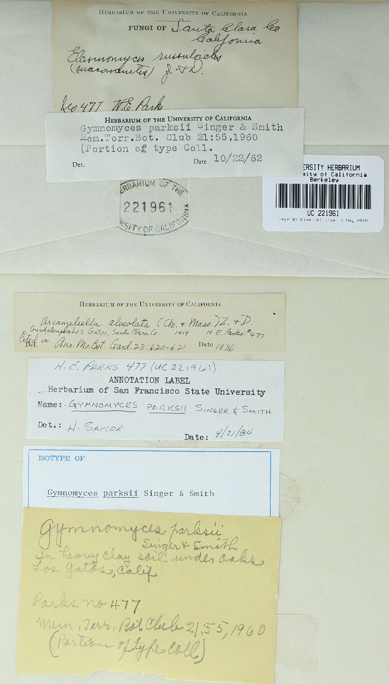 Gymnomyces parksii image