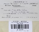 Pezicula rubi image