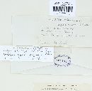 Puccinia recondita image