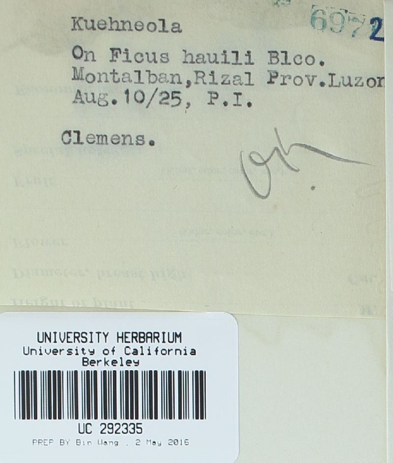 Cerotelium image