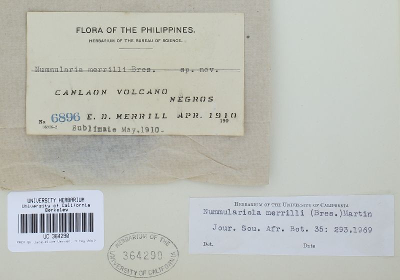 Biscogniauxia capnodes var. capnodes image