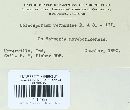 Coleosporium vernoniae image