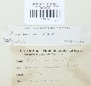 Puccinia recondita image