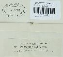 Thecaphora oxalidis image