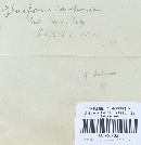 Gloeoporus dichrous image