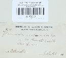 Pholiota highlandensis image