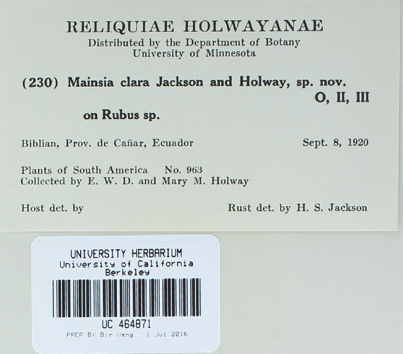 Gerwasia image