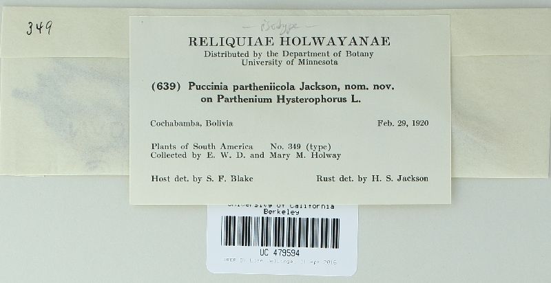 Puccinia partheniicola image