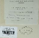 Entyloma compositarum image