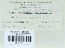 Coleosporium vernoniae image
