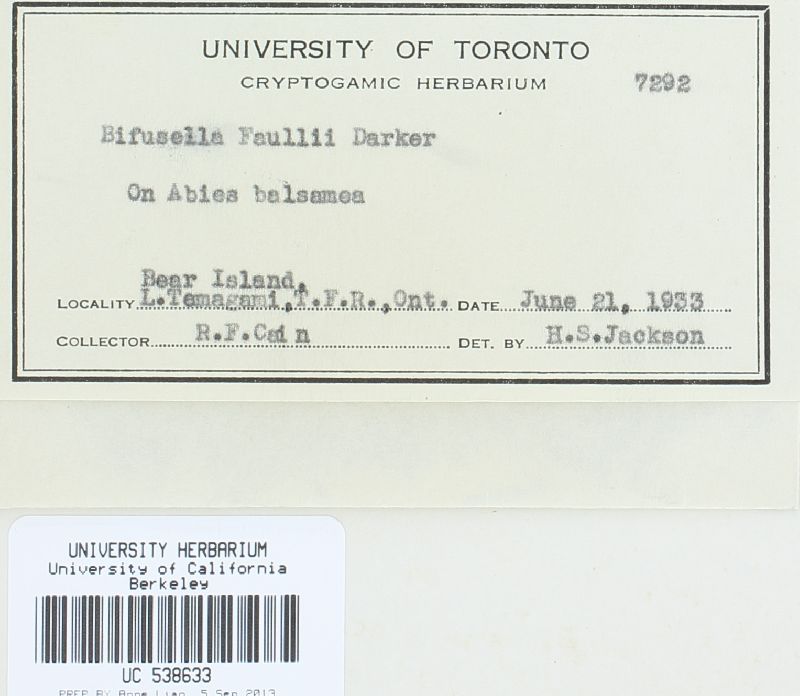 Isthmiella faullii image