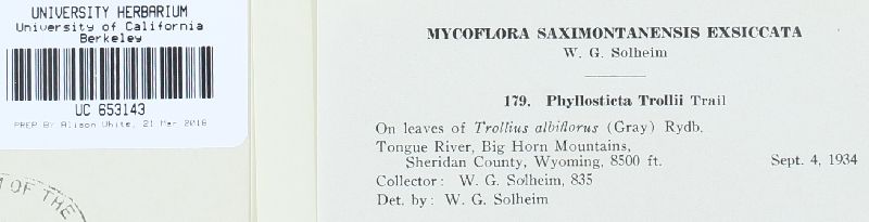 Phyllosticta trollii image