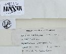 Daedaleopsis confragosa image