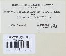 Uromyces appendiculatus image