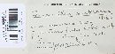 Fomitopsis cajanderi image