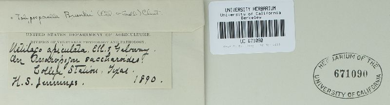 Jamesdicksonia brunkii image
