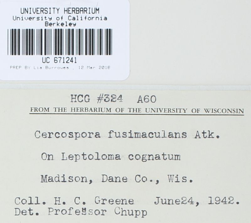 Passalora fusimaculans image
