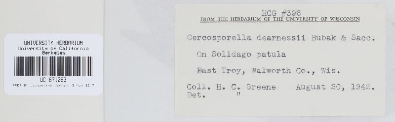 Cercosporella dearnessii image