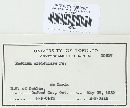 Basidioradulum radula image