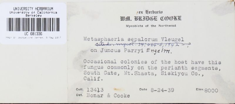 Bricookea sepalorum image