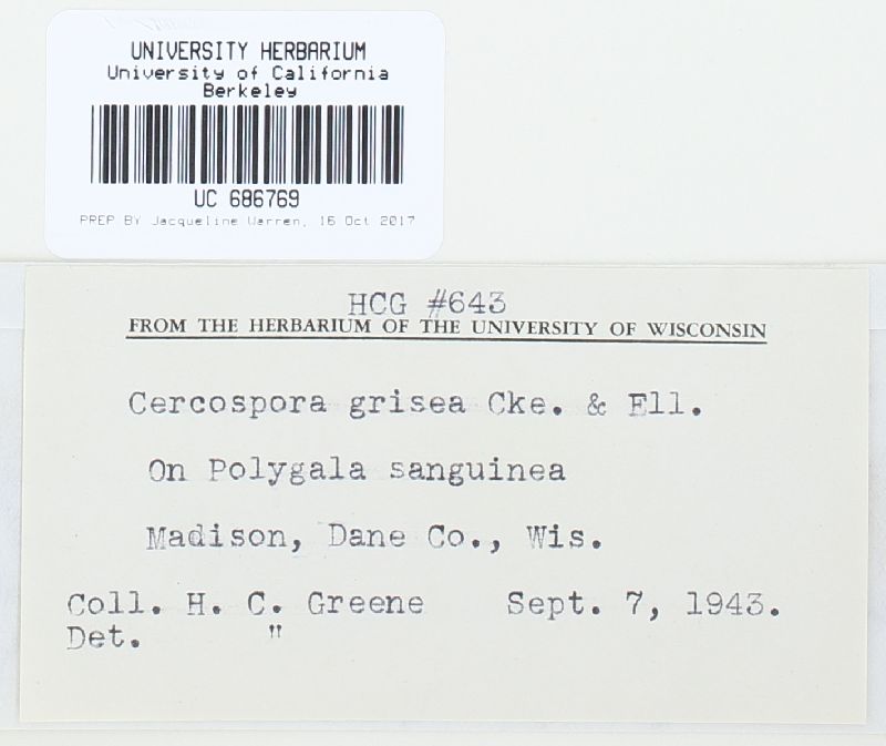 Cercospora grisea image