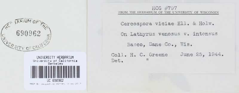 Cercospora zonata image