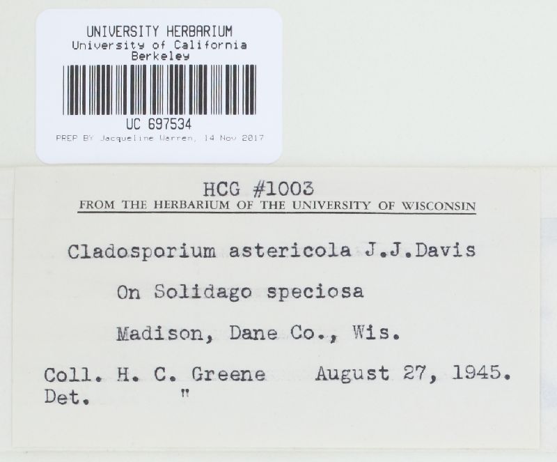 Fusicladium astericola image