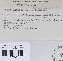 Phoma araliae image