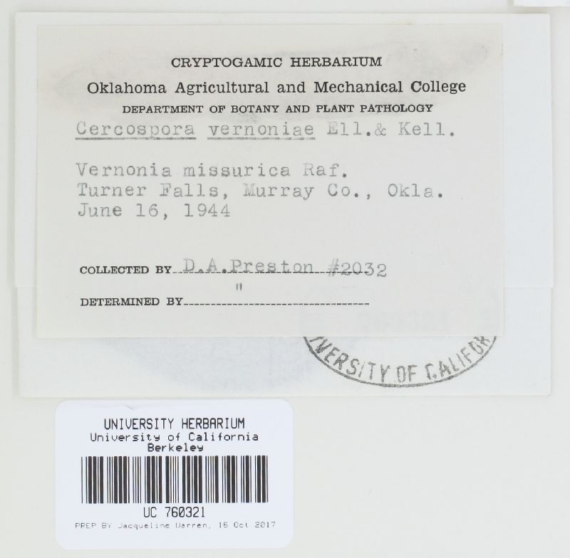 Cercospora vernoniae image