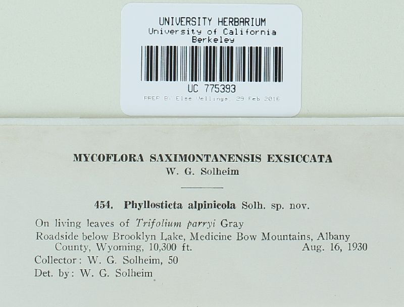 Phyllosticta alpinicola image