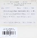 Cylindrosporium dearnessii image